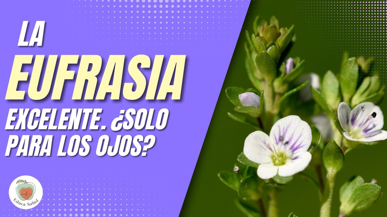 agua de eufrasia para los ojos