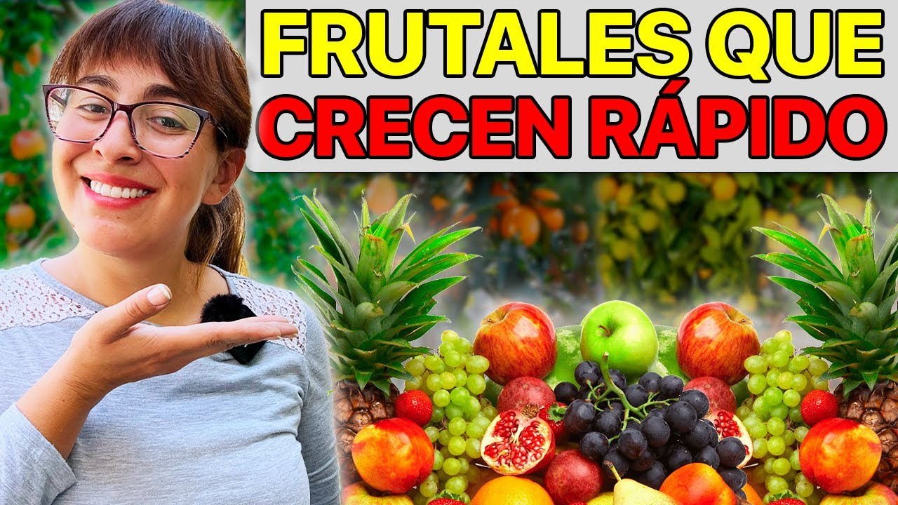 árboles frutales de sombra y poca raíz