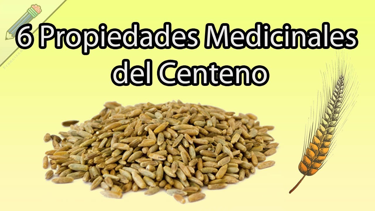 beneficios de la bebida de centeno