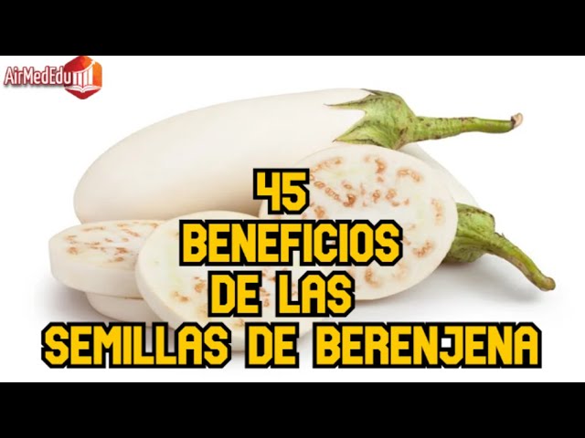 berenjena con semillas se puede comer