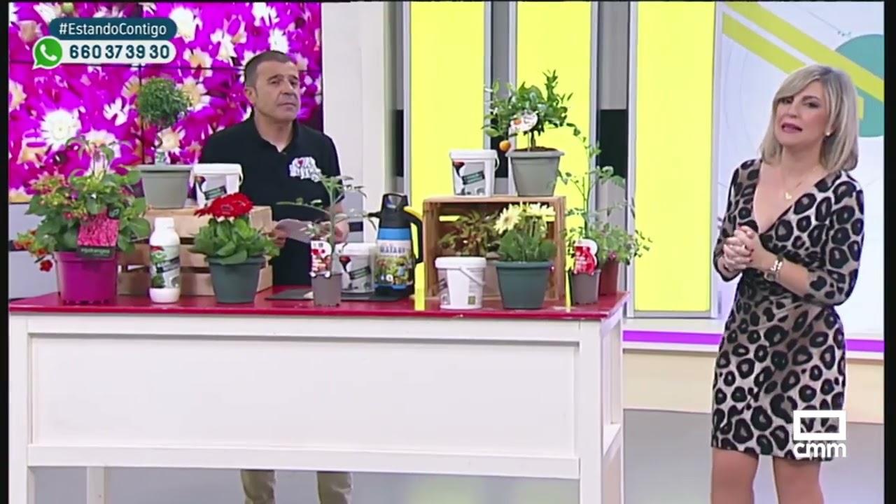 caolín para que sirve en la agricultura