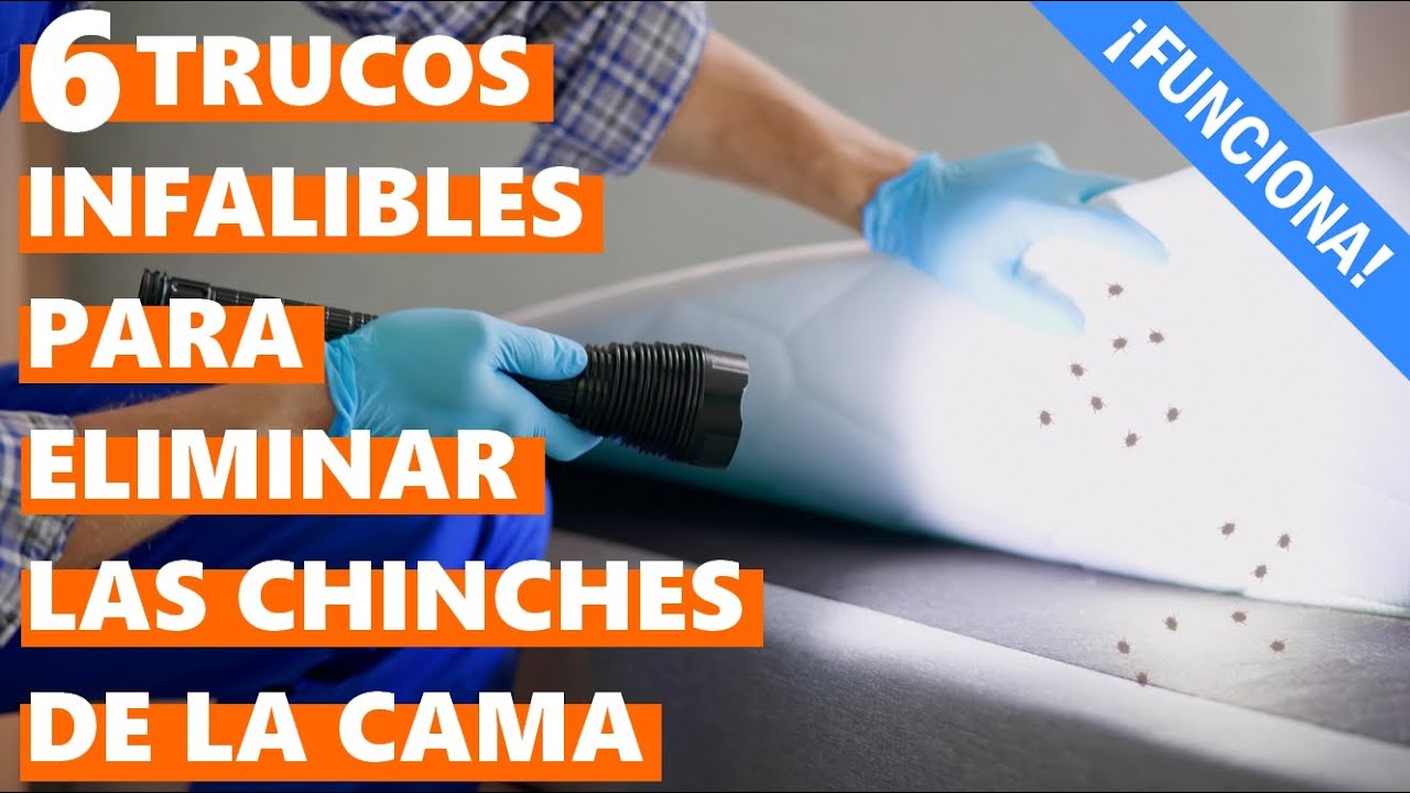 como desinfectar una maleta de chinches