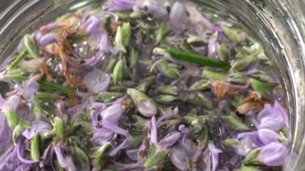 cómo es la flor del romero