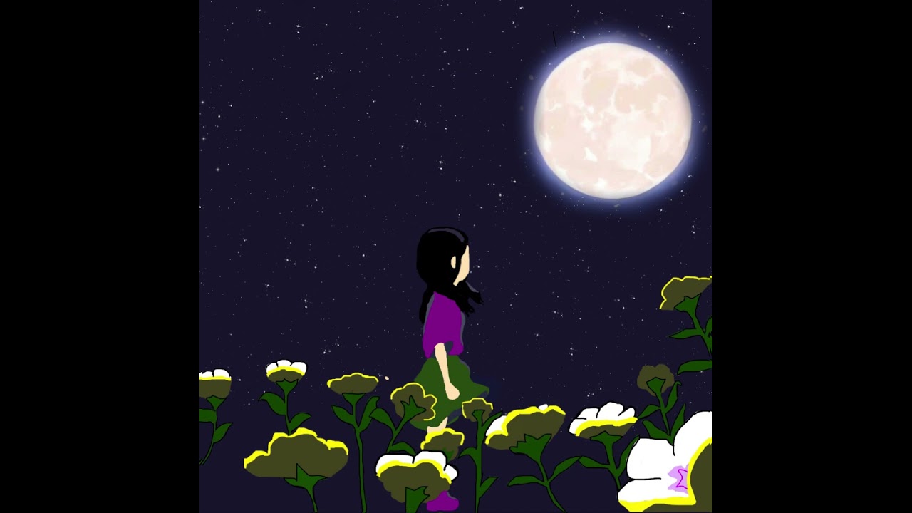 esta noche hay lluvia de estrellas