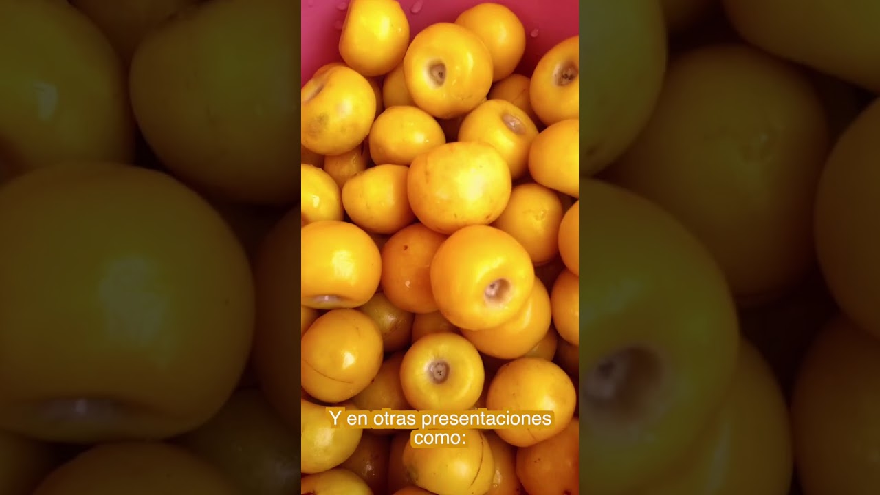 fruta pequeña roja y con hueso