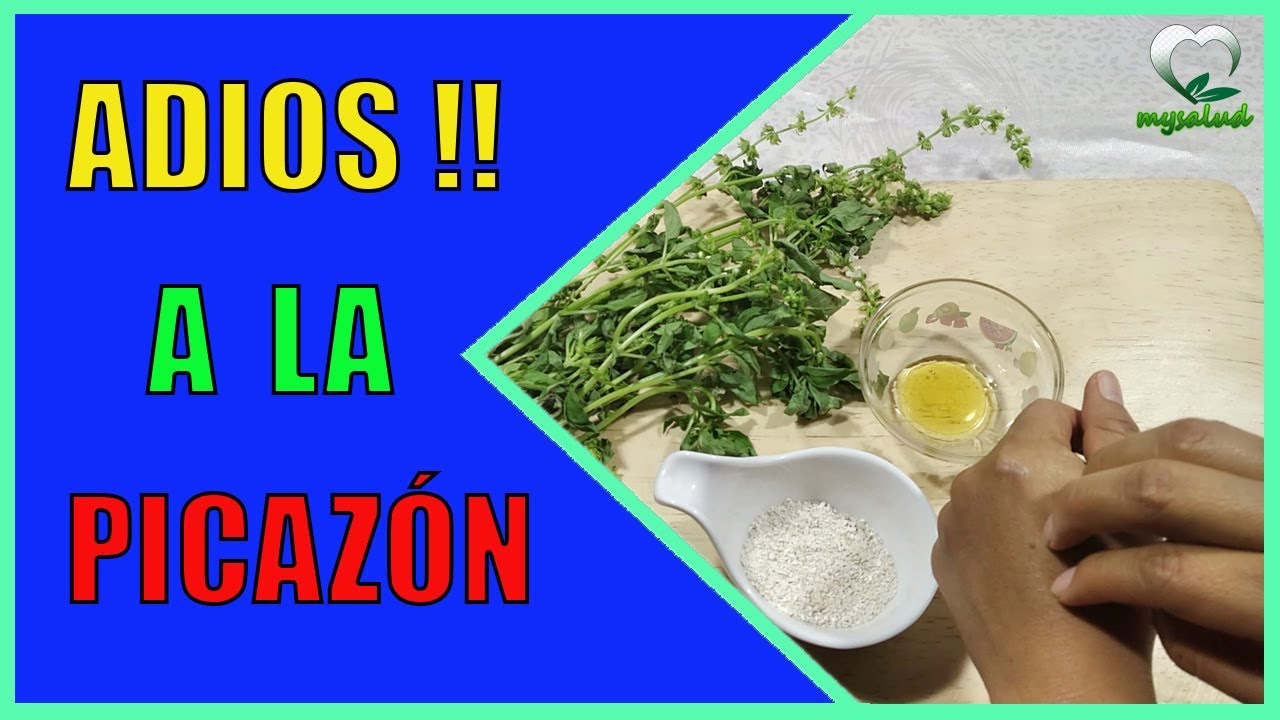 infusiones para el picor de la piel