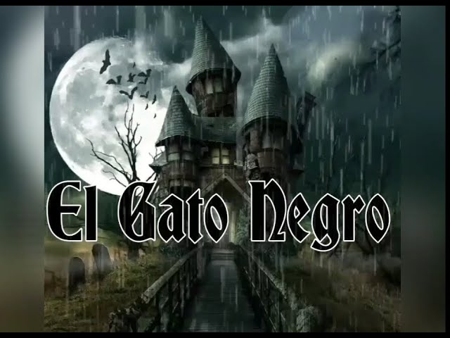 la noche de las estrellas fugaces