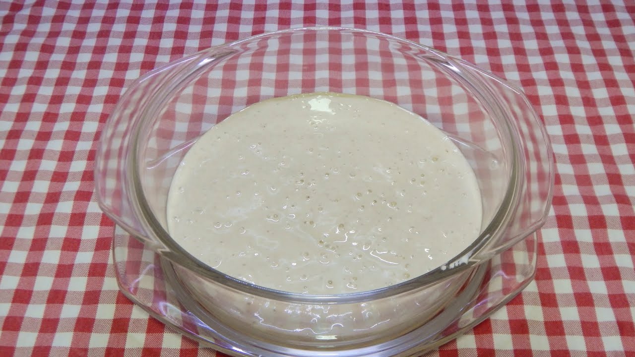 masa madre como se hace sin levadura