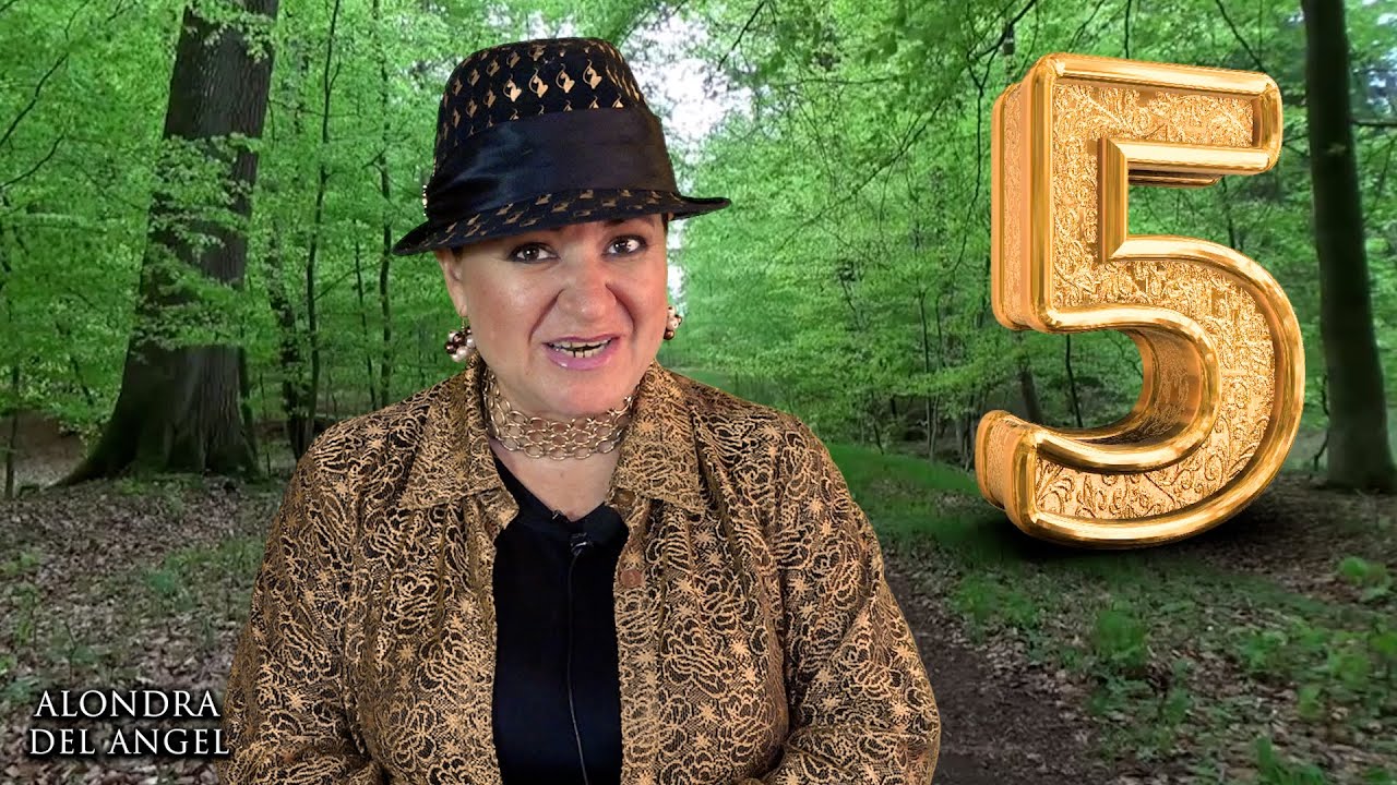 numerología que significa el número 5