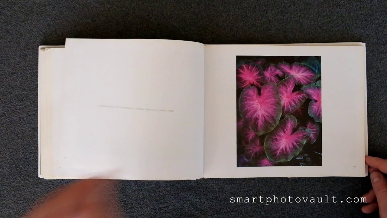 obras de arte de ansel adams