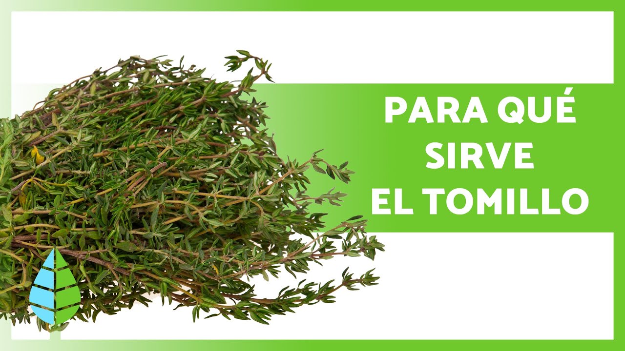 qué beneficios tiene la infusión de tomillo