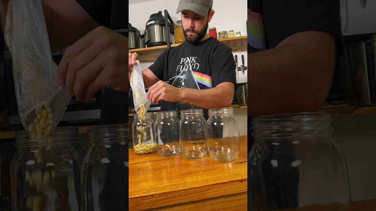 que es el miso y donde se compra