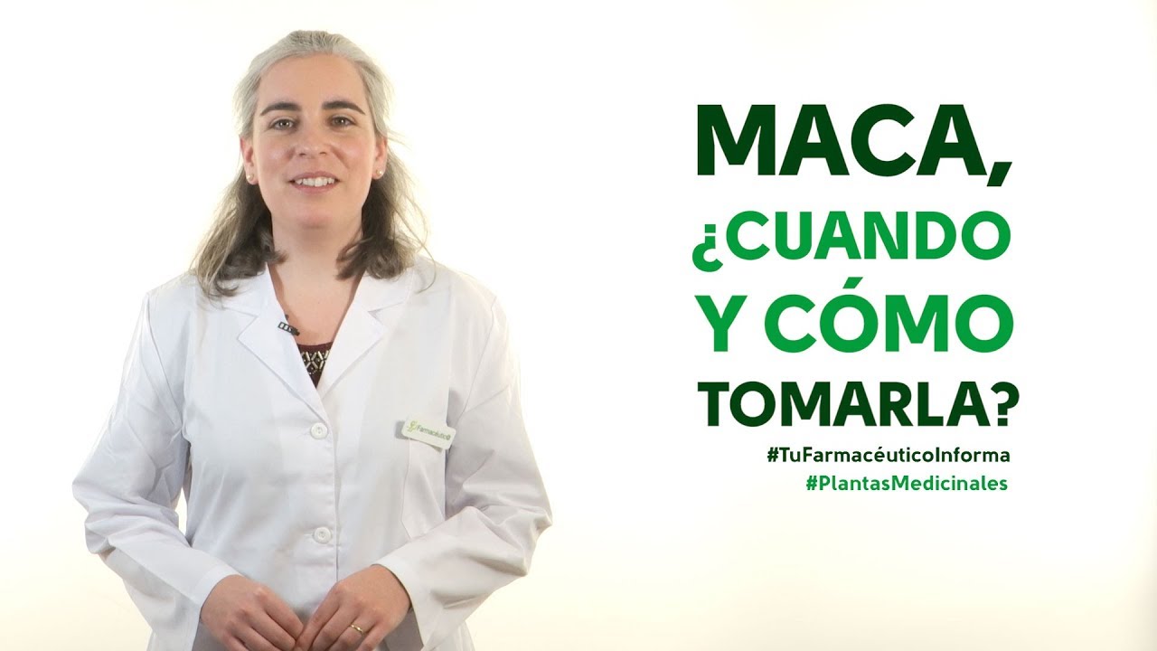 qué hace la maca en el cuerpo