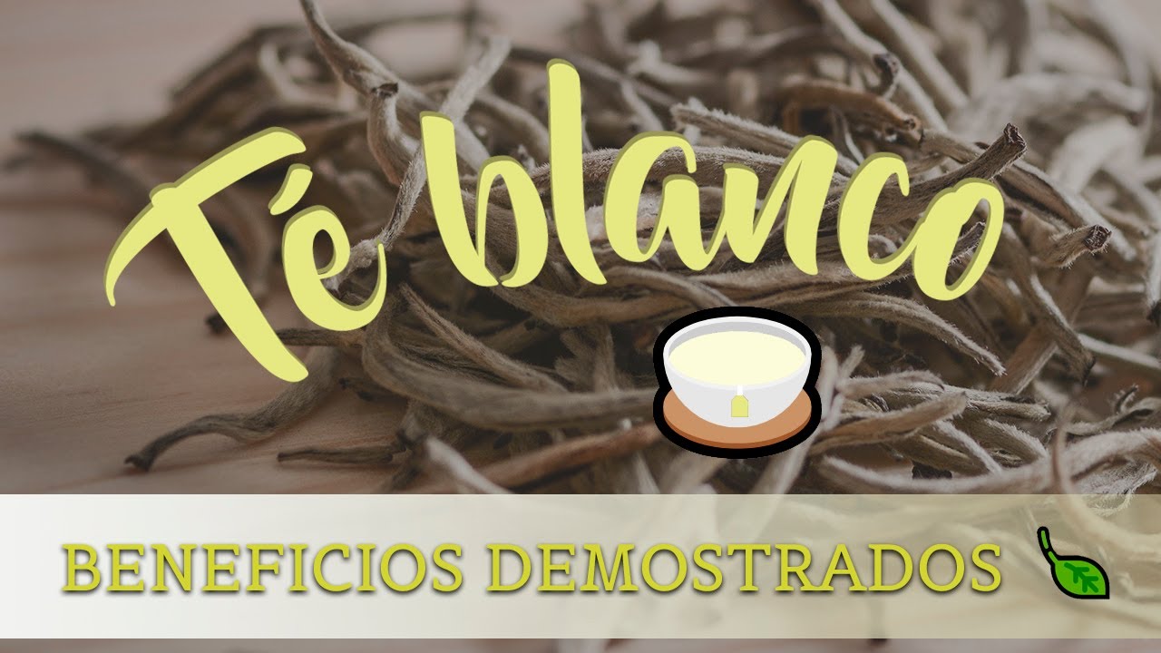 qué propiedades tiene el té blanco
