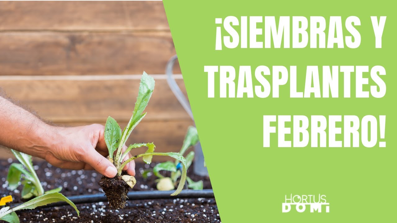 que se siembra en febrero en españa