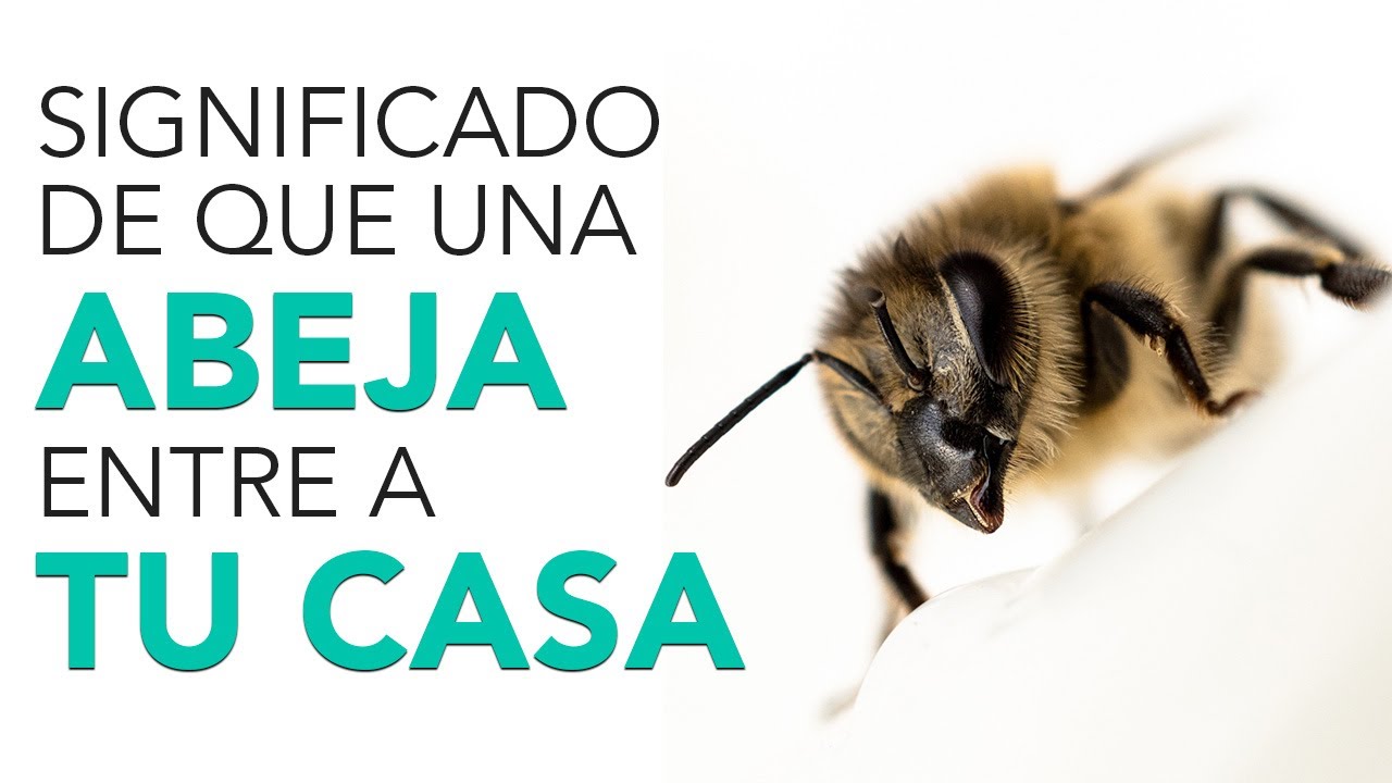 que significa que entre abejas a tu casa