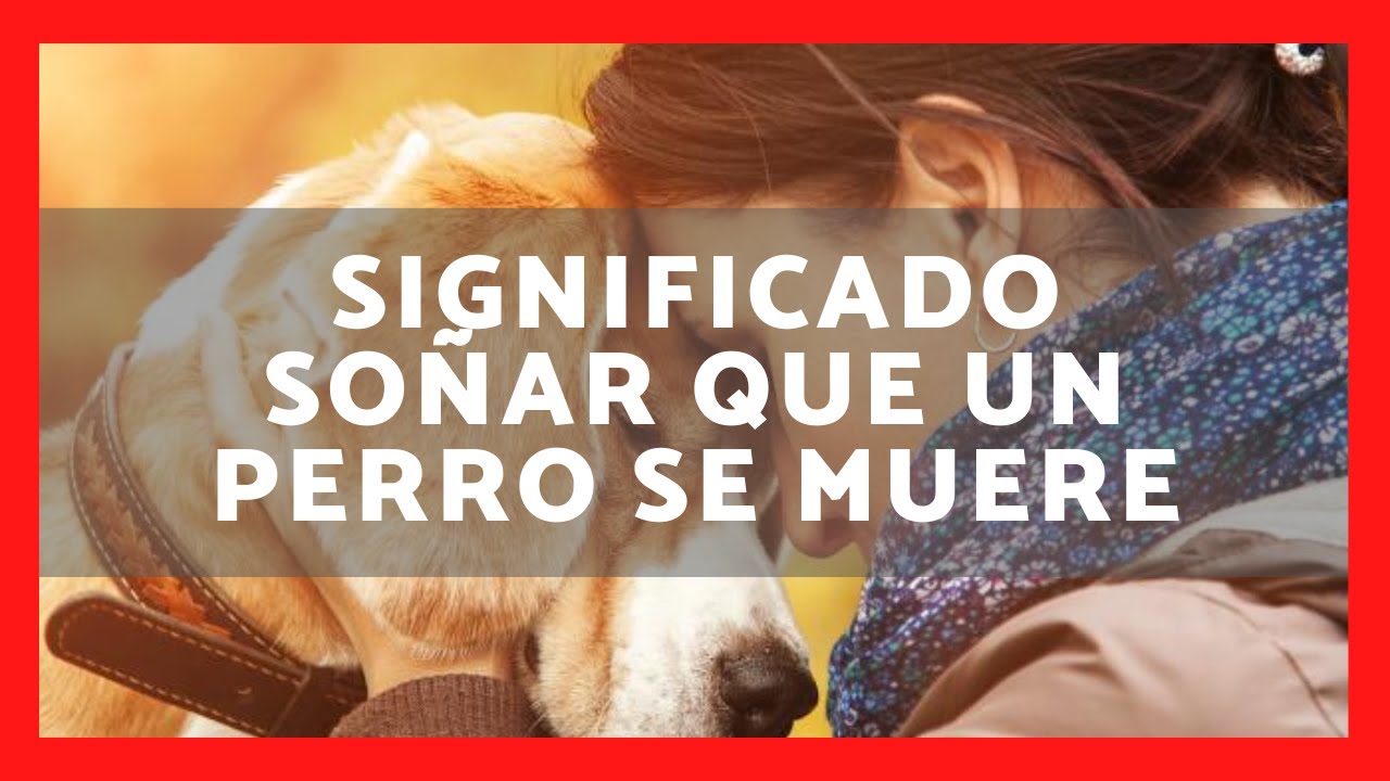 que significa soñar que tu perro se muere