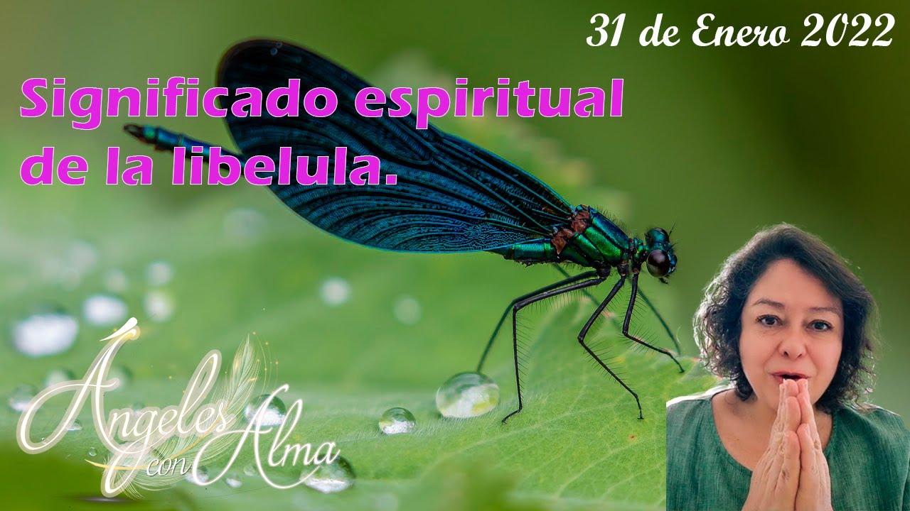 que significa ver una libelula azul