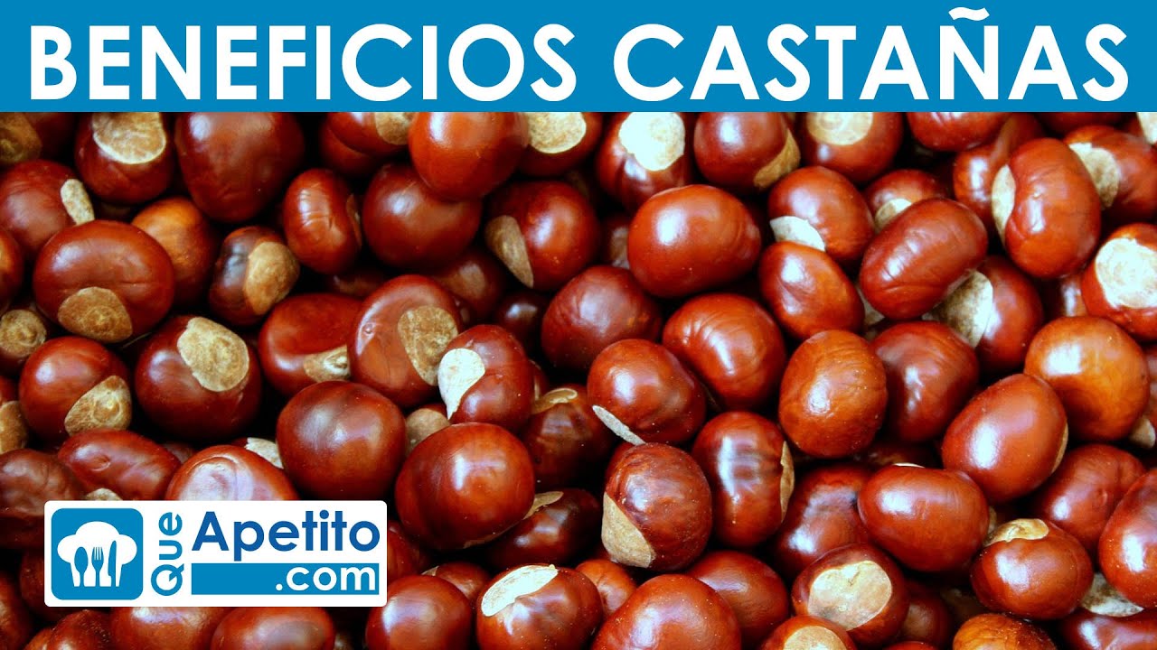 que tipo de alimento es la castaña