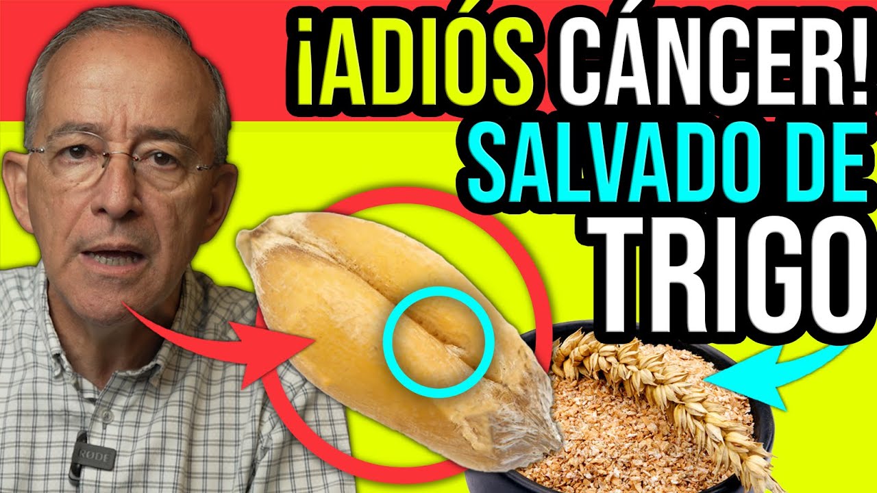 salvado de trigo para que sirve