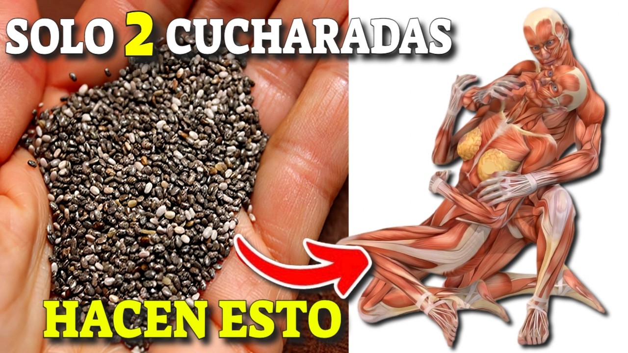semillas de chia cuanto tiempo en remojo