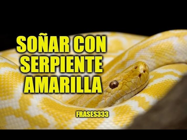 soñar con una serpiente amarilla y blanca