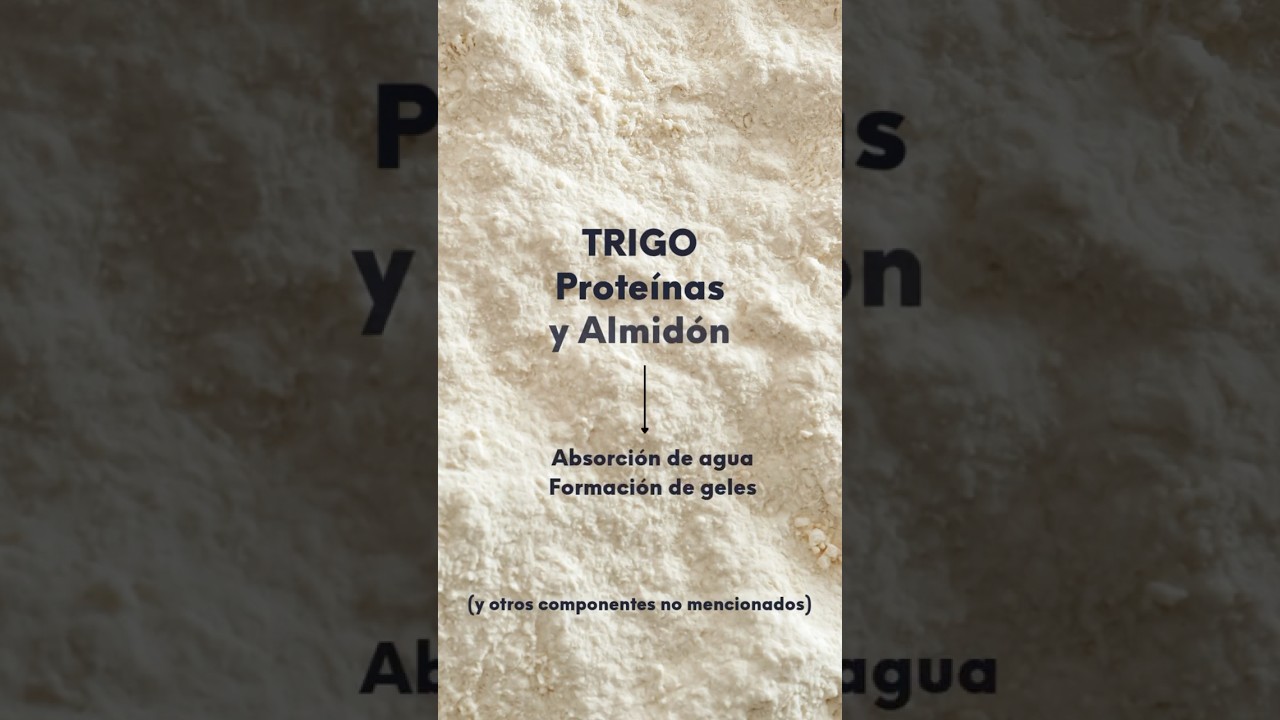 sustituir harina de trigo por harina de avena