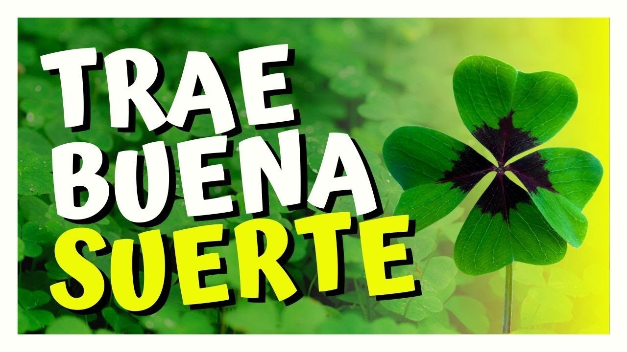 trébol de la suerte 3 o 4 hojas
