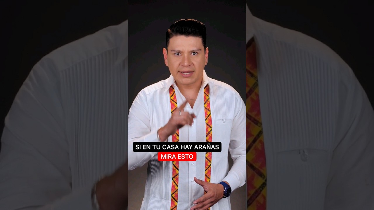 xq hay arañas en mi casa