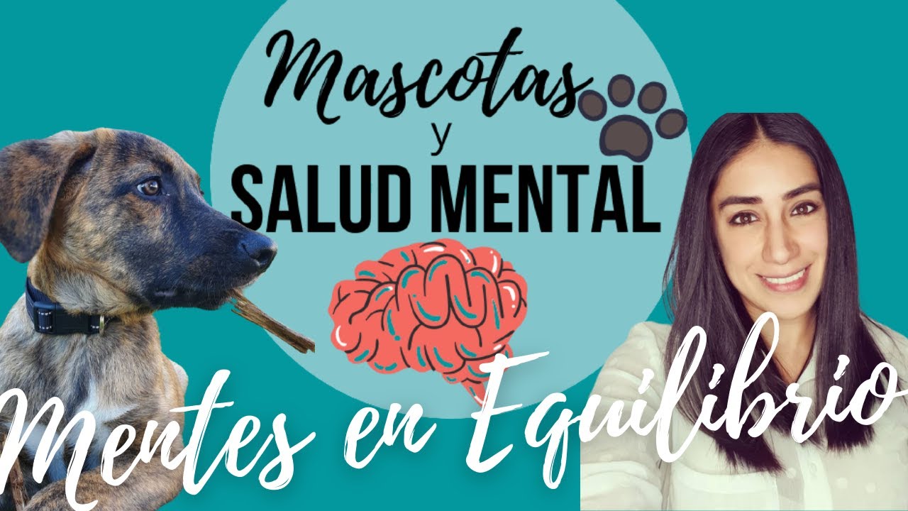 10 ventajas de tener una mascota