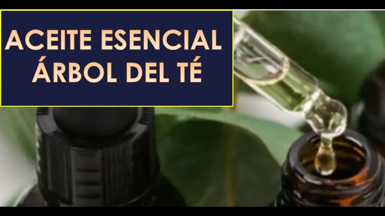 aceite arbol de te para la cara