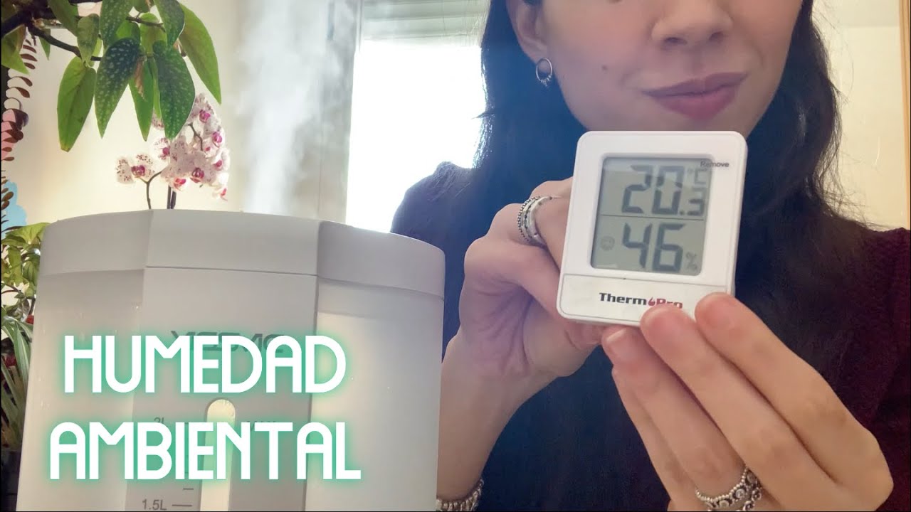 como aumentar la humedad en casa