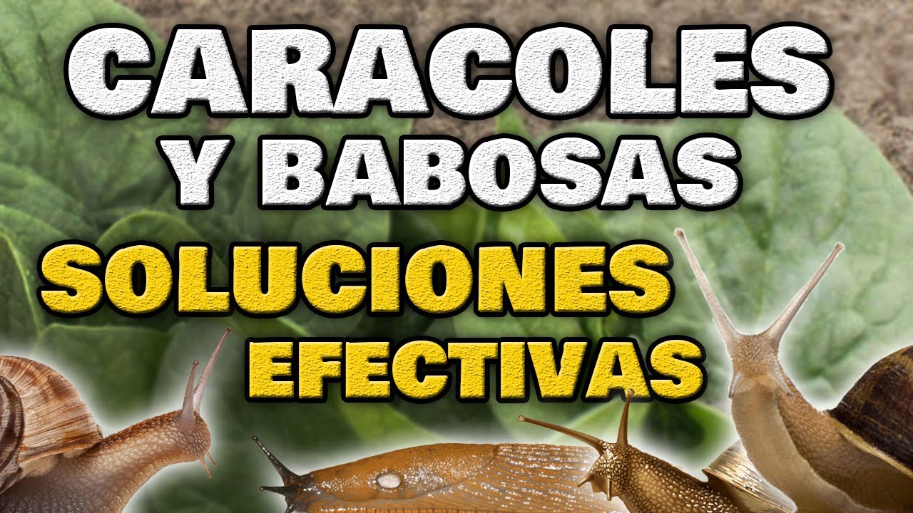 como evitar que los caracoles se coman las plantas