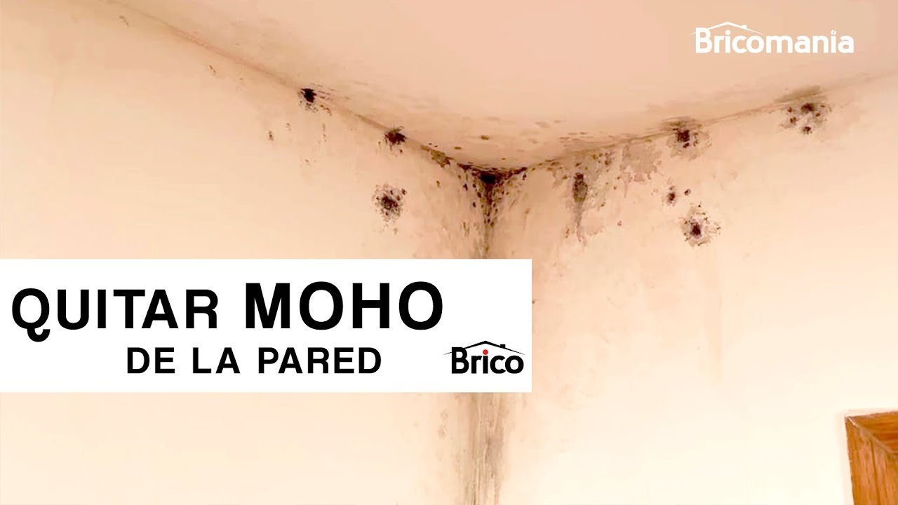como quitar el moho negro de la pared