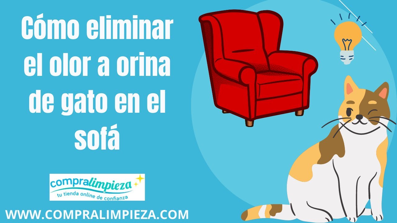 como quitar el olor de pis de gato del sofa