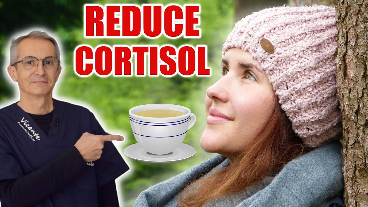 como reducir el cortisol y la grasa abdominal