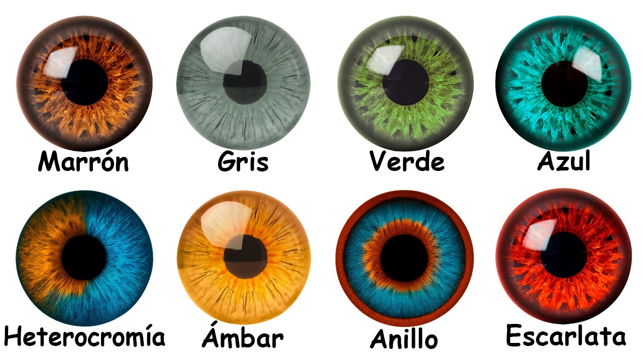 cual es el color de ojos mas bonito