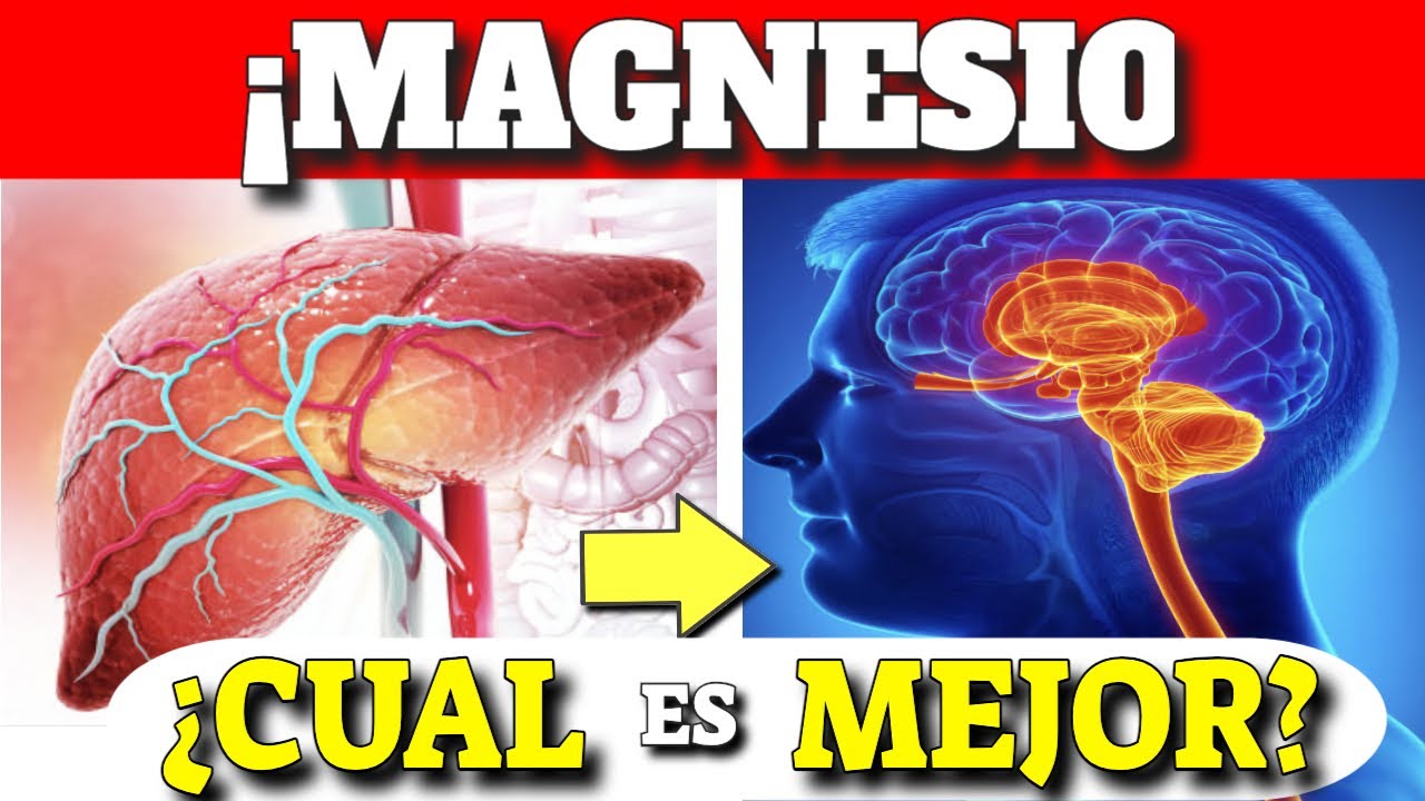 cual es el mejor complejo de magnesio