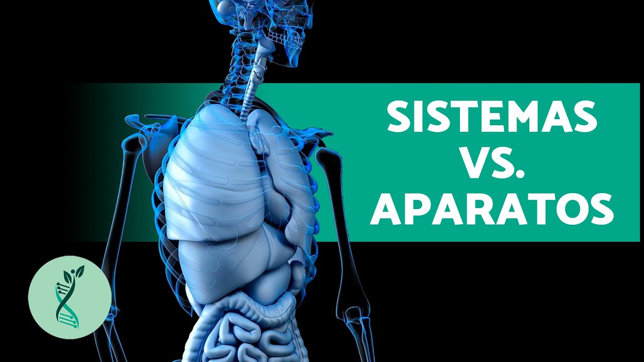 cual es la diferencia entre aparato y sistema