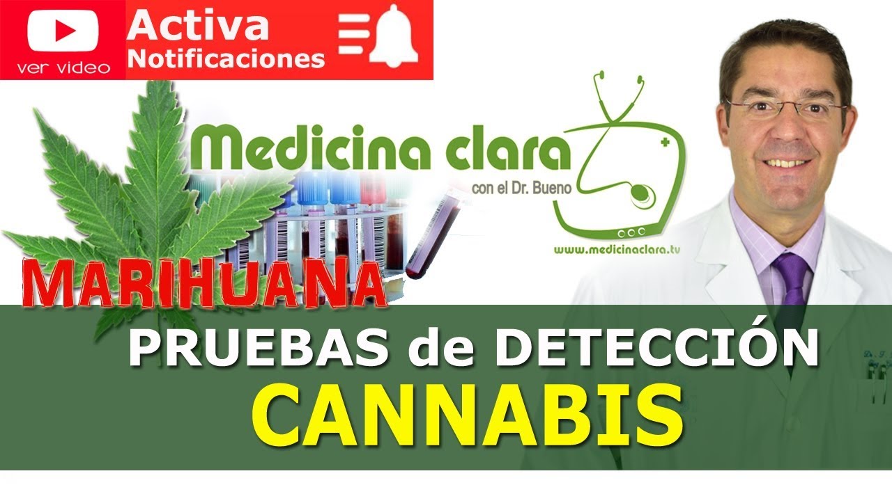 cuanto dura la marihuanas en el organismo