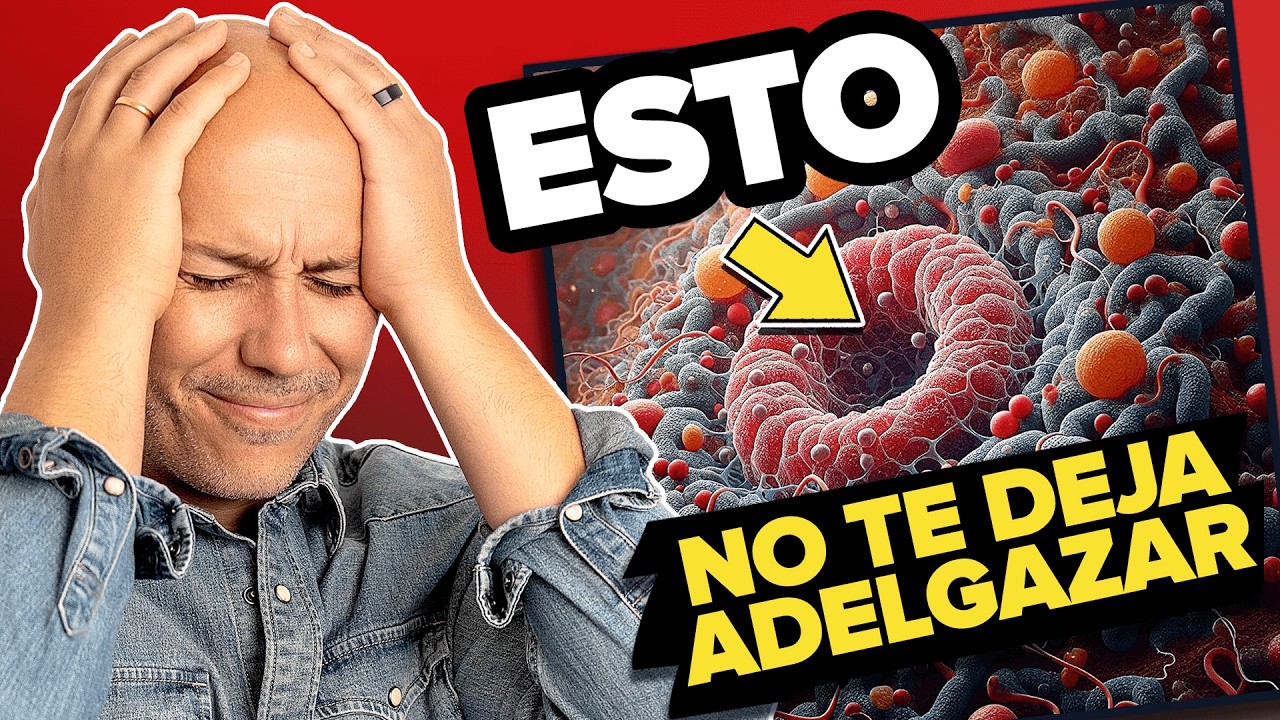 dieta de cortisol para bajar de peso