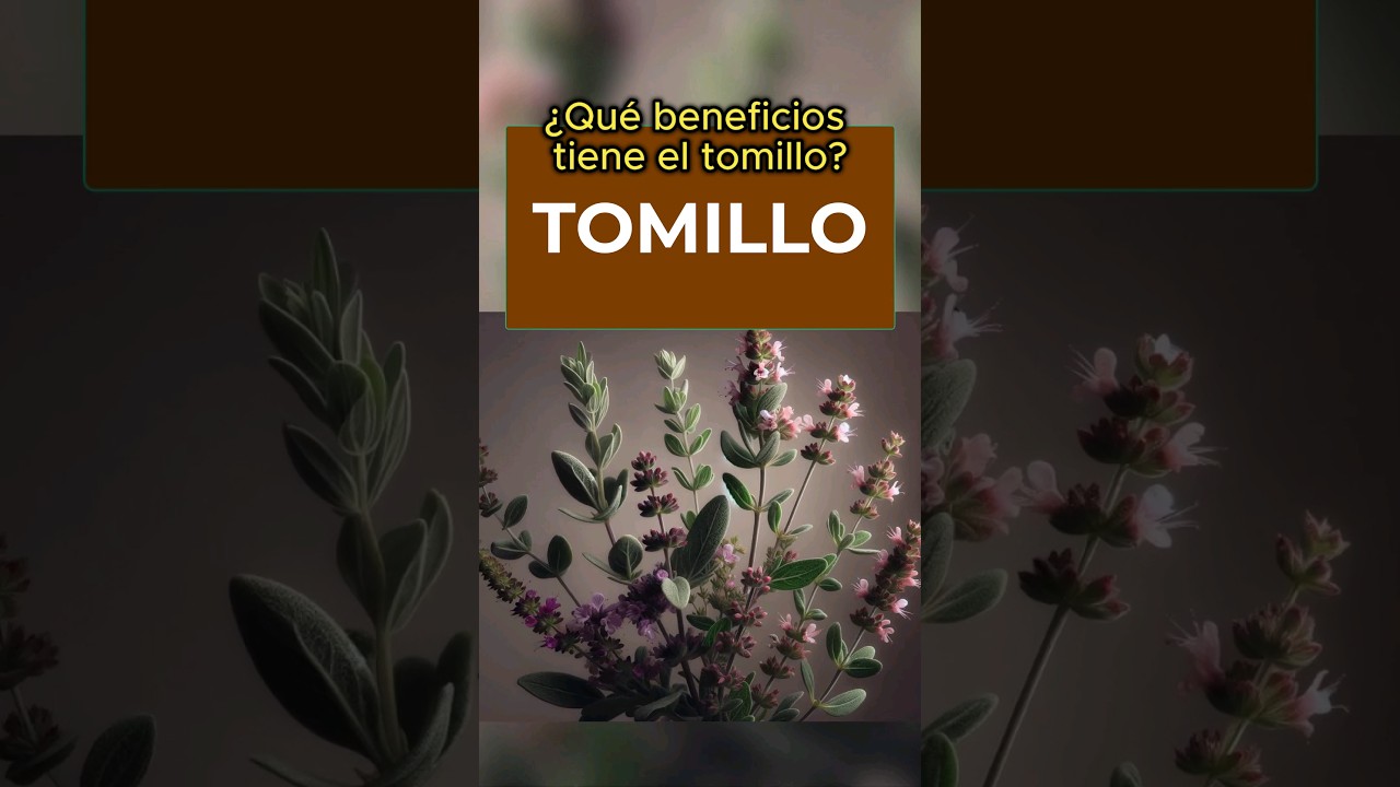 el tomillo es bueno para el resfriado