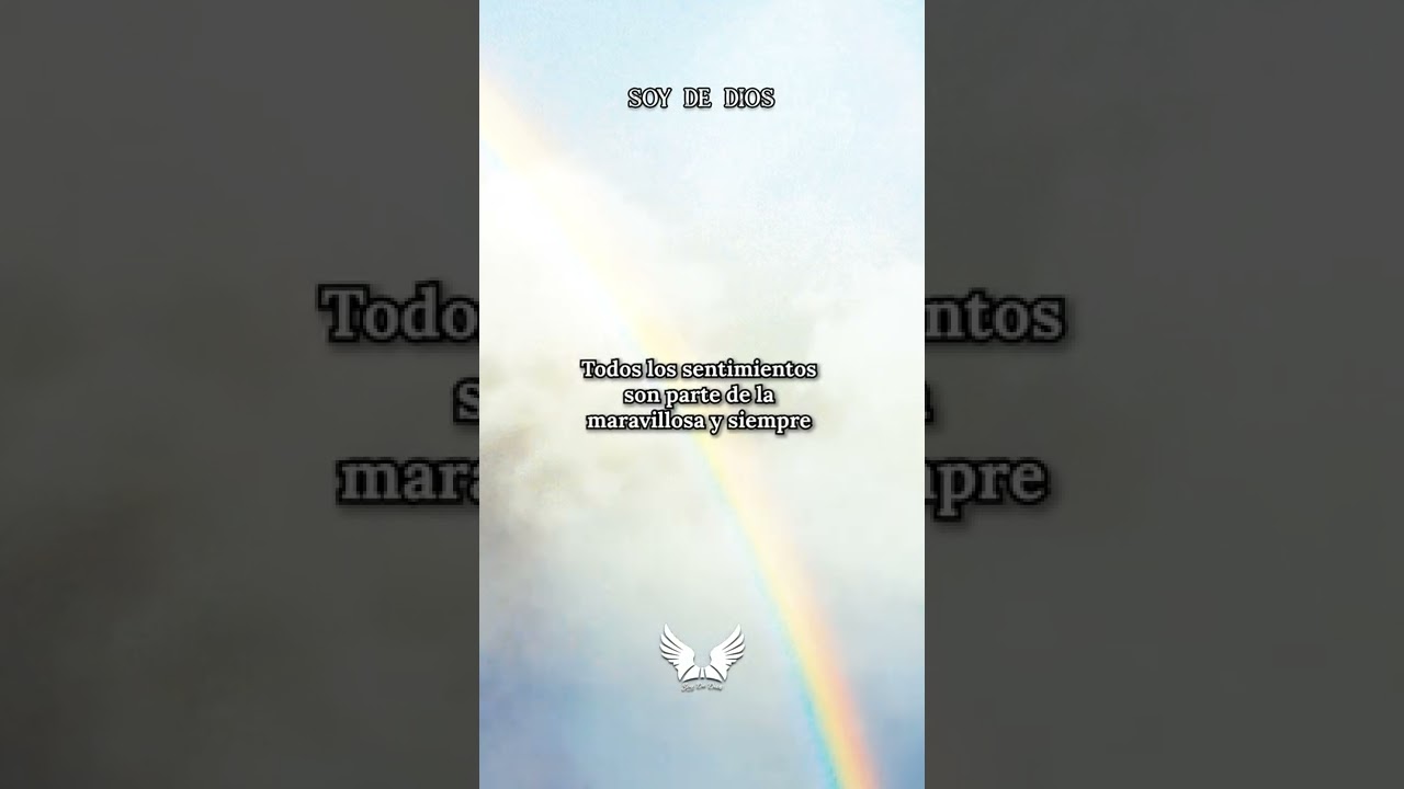 frase de colores de la vida