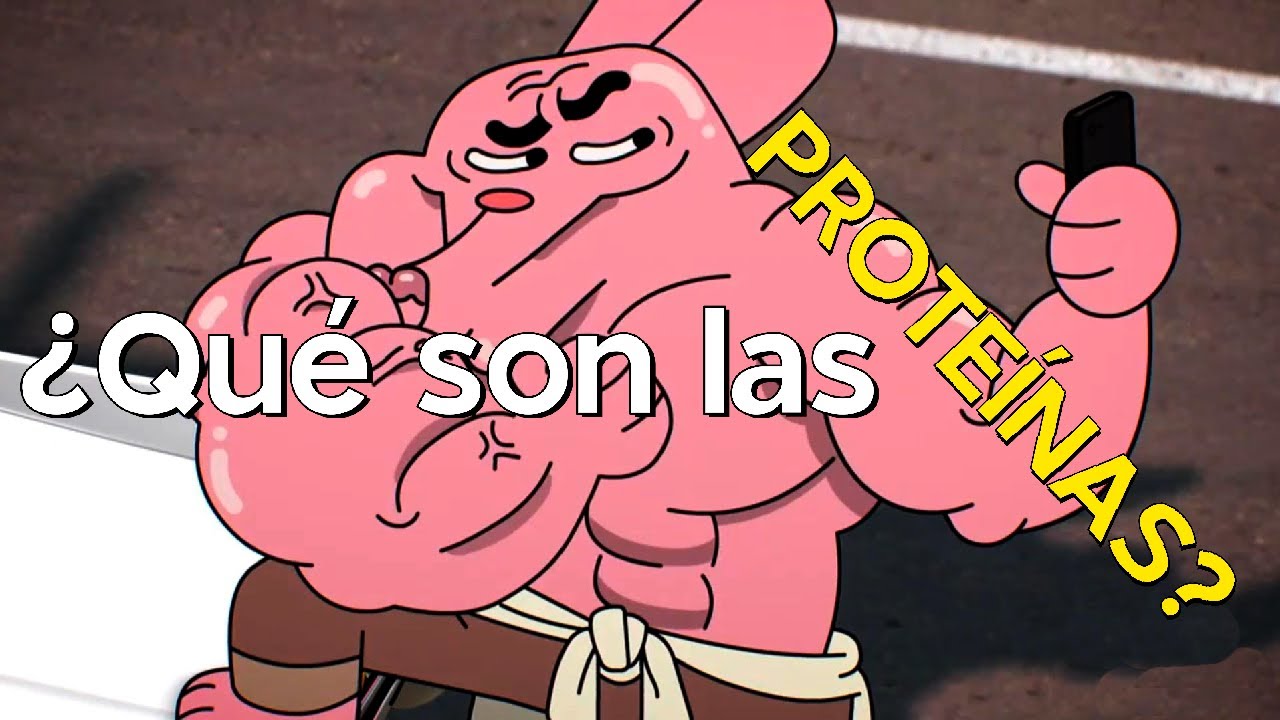 funcion de las proteinas en el cuerpo humano