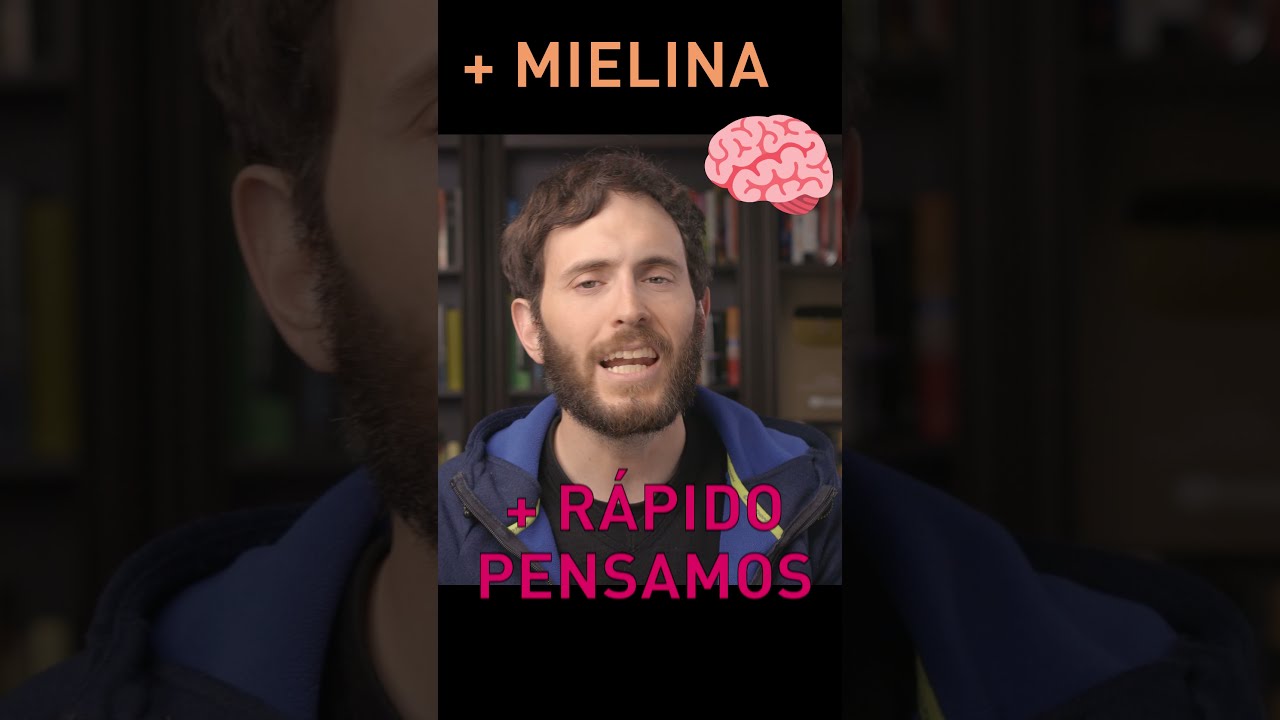 mejor omega 3 para el cerebro