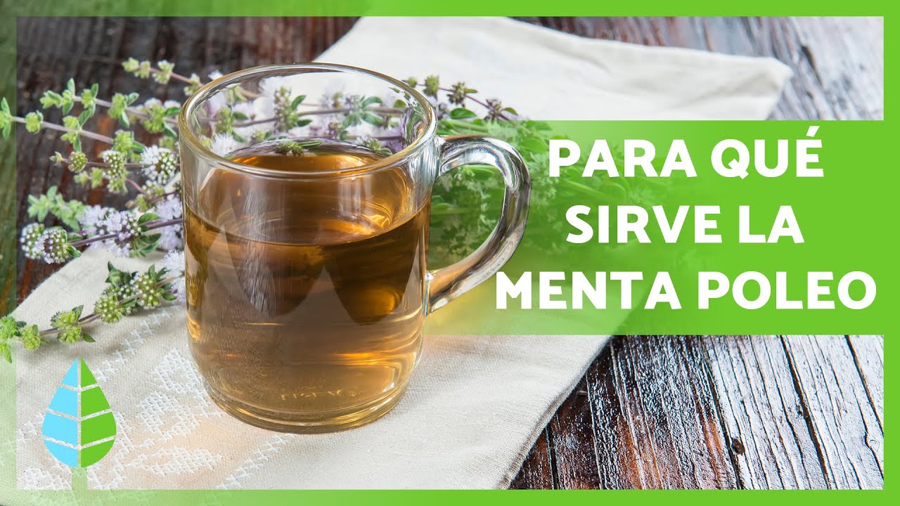menta poleo con miel y limón