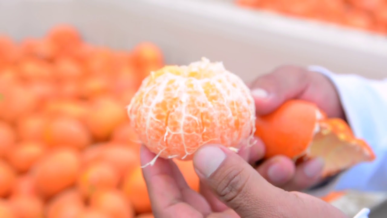 para que es bueno la mandarina