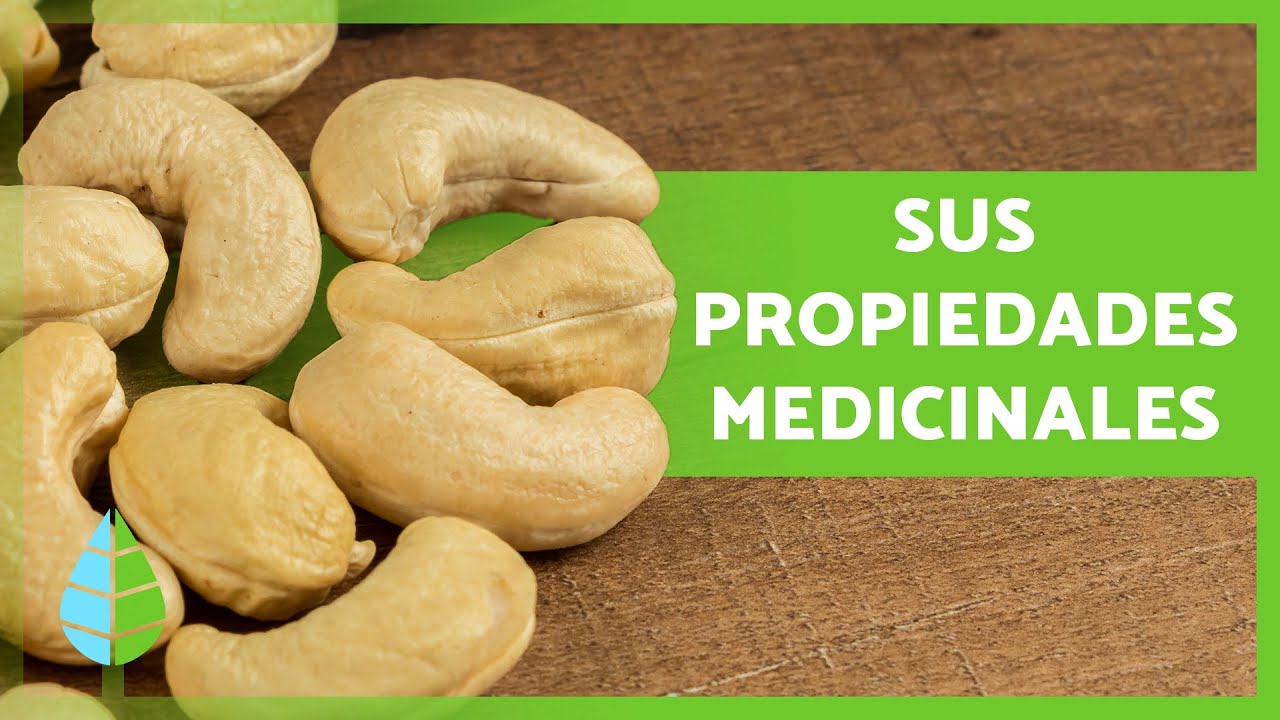 propiedades de los anacardos para la salud