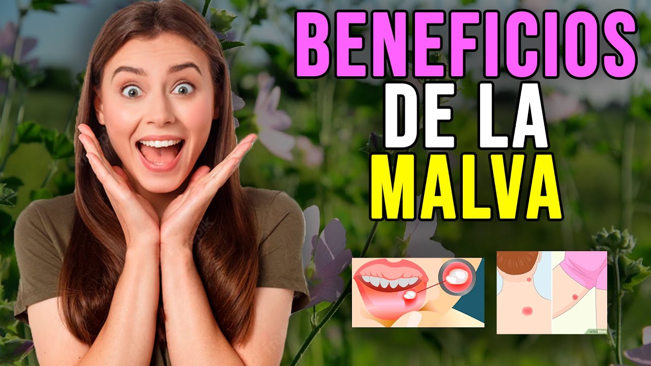 propiedades del fruto de la malva