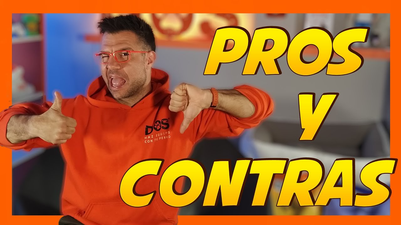 pros y contras de tener un perro